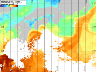 NOAA水温(１日合成画像)